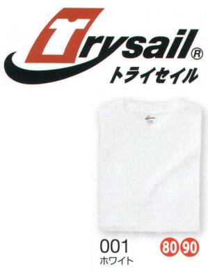 トライセイル ヘビーウエイトTシャツ（ホワイト/5L）50枚入